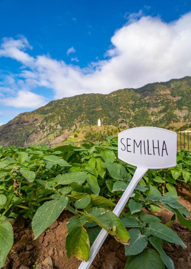 Quinta Vale Vitis Villa Sao Vicente  Bagian luar foto