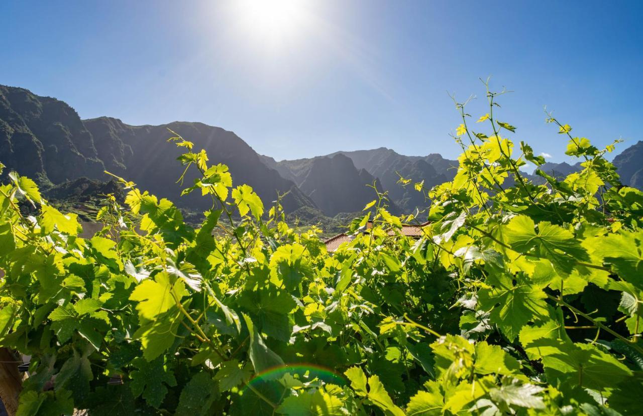 Quinta Vale Vitis Villa Sao Vicente  Bagian luar foto
