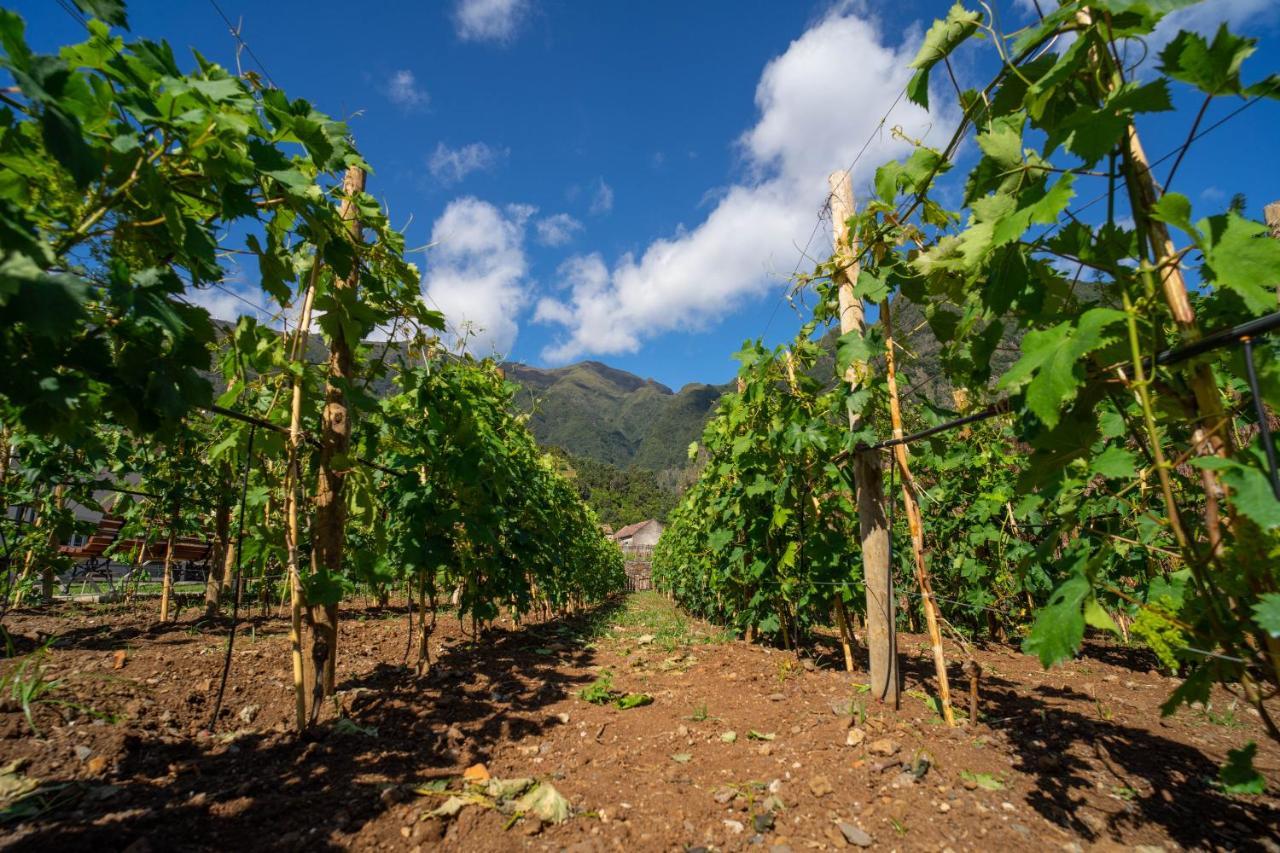 Quinta Vale Vitis Villa Sao Vicente  Bagian luar foto